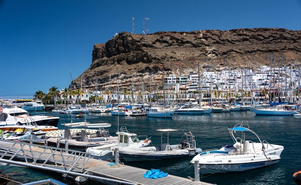 Apartamentos Las Palmeras Puerto De Mogan Luaran gambar